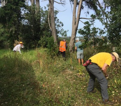 428610935_414167014618156_4147552075646850178_n